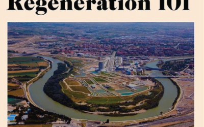 Common Room Foundation: Circular Cities – Regeneration 101